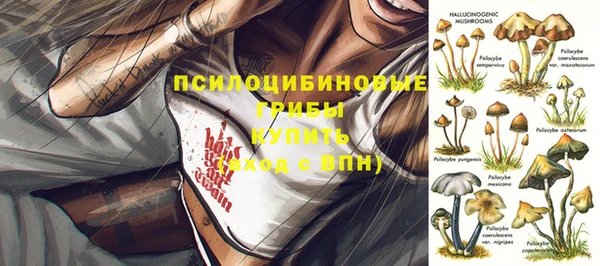 дживик Красноперекопск