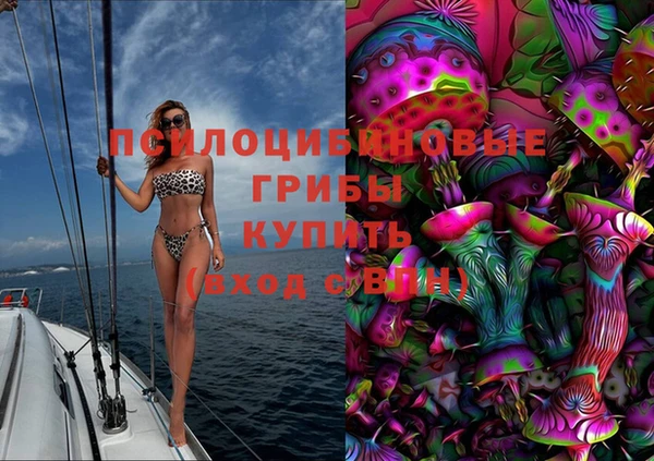 таблы Краснослободск