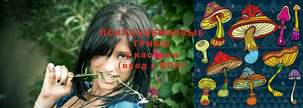 дживик Красноперекопск