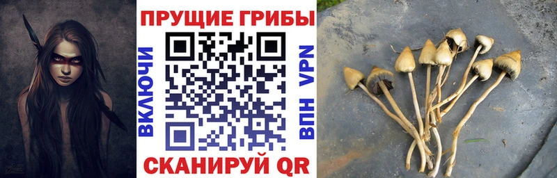 Галлюциногенные грибы ЛСД Купить Балаково