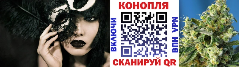 Купить где  Балаково  МАРИХУАНА ГИДРОПОН 